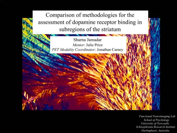 Comparison of methodologies for the assessment of dopamine receptor binding in subregions of the striatum