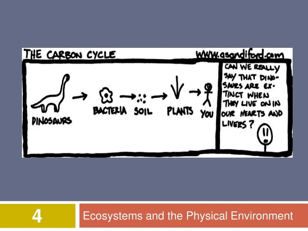 ecosystems and the physical environment