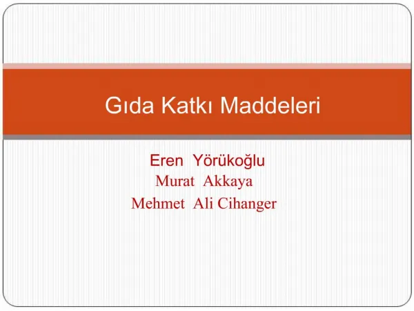 Gida Katki Maddeleri