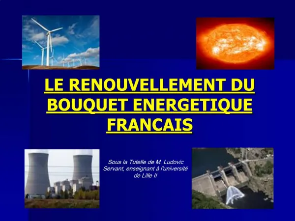 LE RENOUVELLEMENT DU BOUQUET ENERGETIQUE FRANCAIS