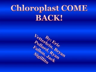 Chloroplast COME BACK - slide 1