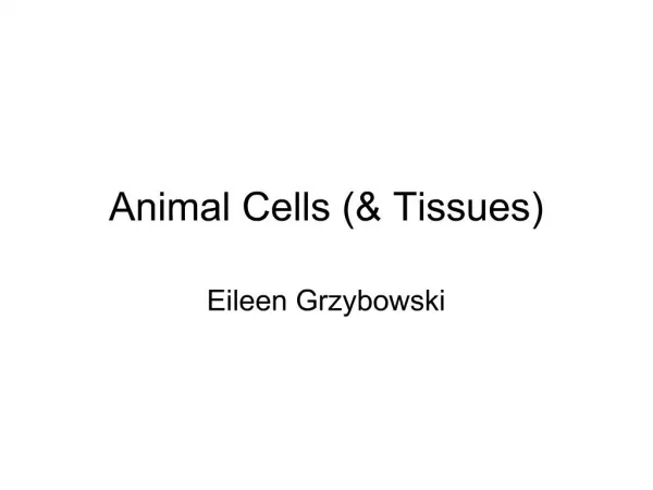 Animal Cells Tissues