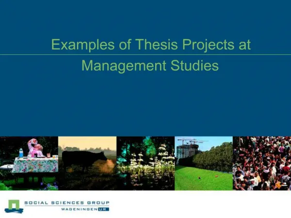 Examples of Thesis Projects at Management Studies