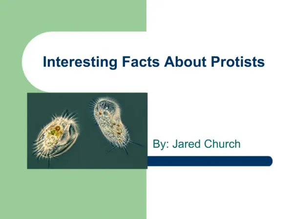 Interesting Facts About Protists