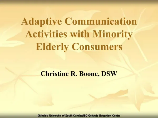 Adaptive Communication Activities with Minority Elderly Consumers