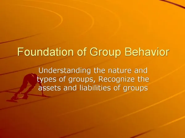 Foundation of Group Behavior