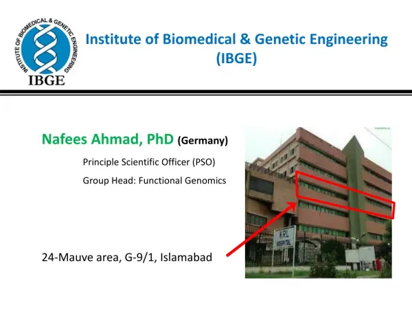 Institute of Biomedical &amp; Genetic Engineering (IBGE)