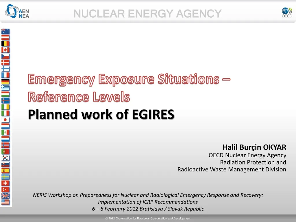emergency exposure situations reference levels planned work of egires