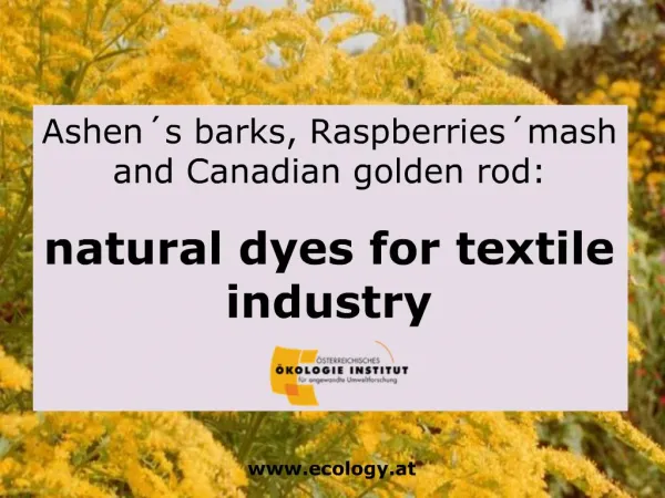 Ashen s barks, Raspberries mash and Canadian golden rod: natural dyes for textile industry