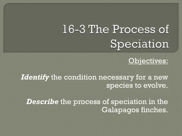 16-3 The Process of Speciation