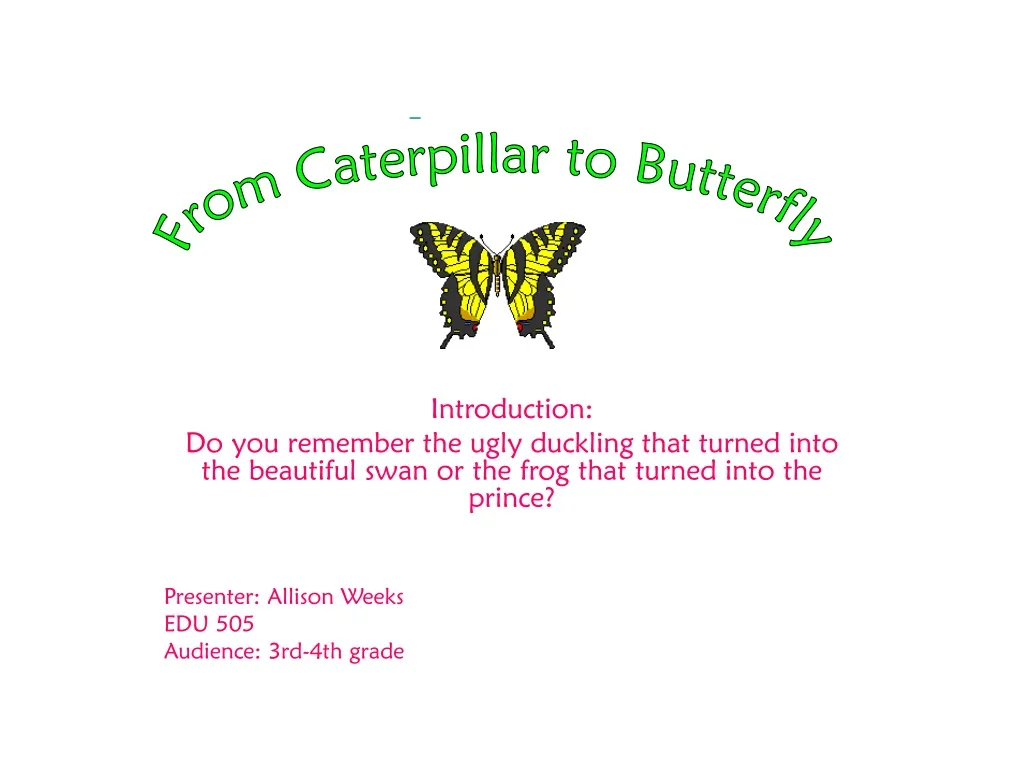 from caterpillar to butterfly