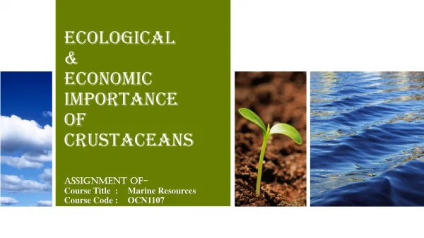 Ecological &amp; Economic importance of Crustaceans