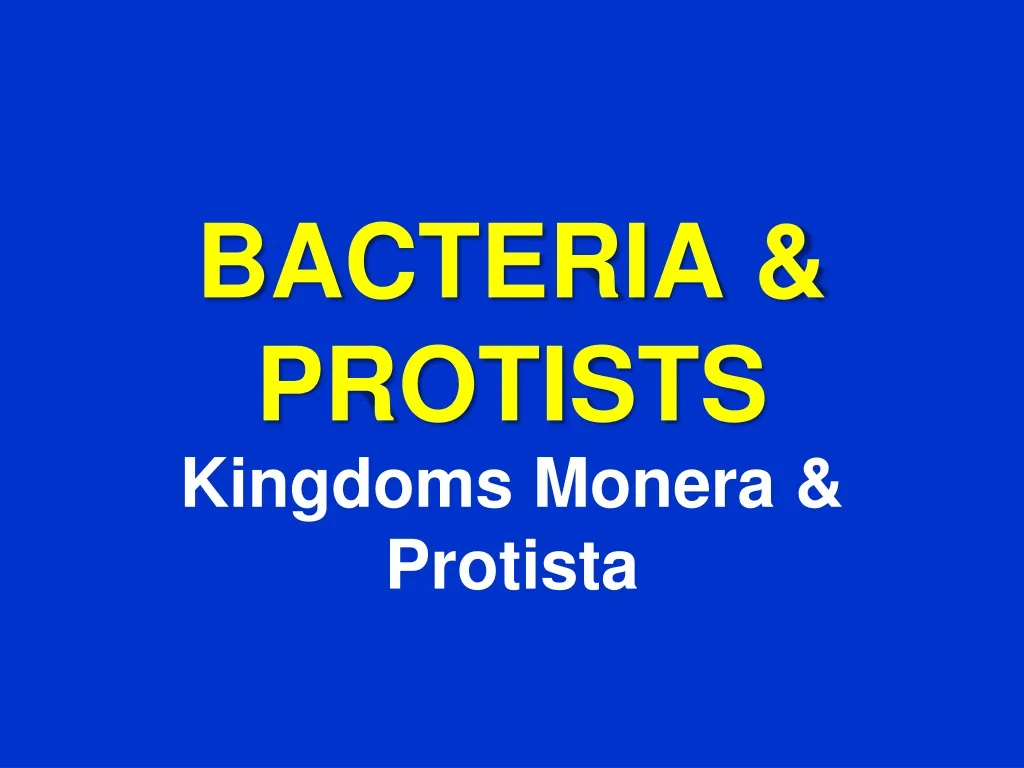 bacteria protists