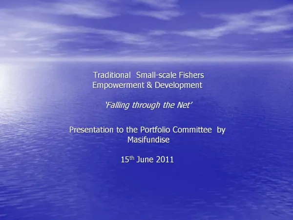 Traditional Small-scale Fishers Empowerment Development Falling through the Net