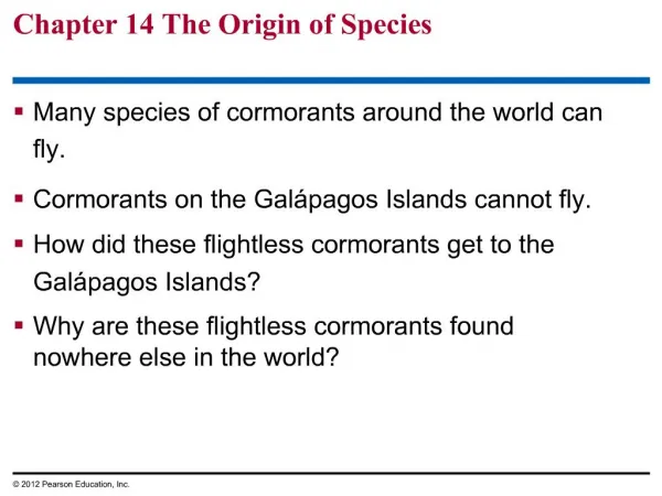 Many species of cormorants around the world can fly. Cormorants on the Gal pagos Islands cannot fly. How did these fligh