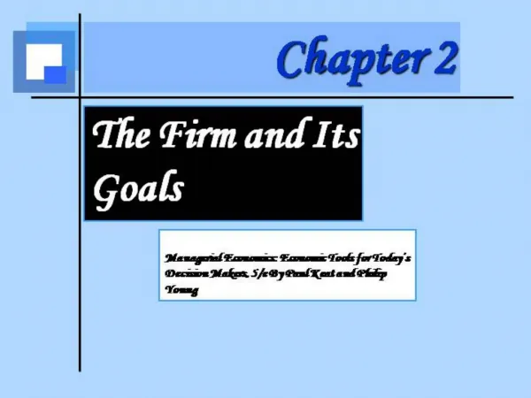 The Firm and Its Goals