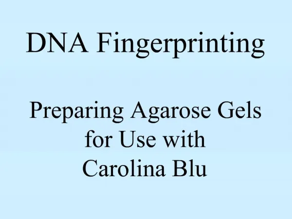 DNA Fingerprinting Preparing Agarose Gels for Use with Carolina Blu