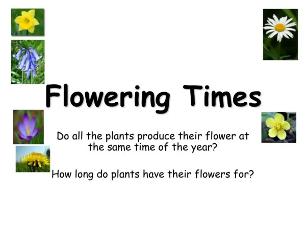 Flowering Times