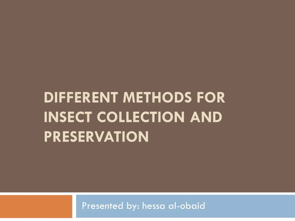 different methods for insect collection and preservation