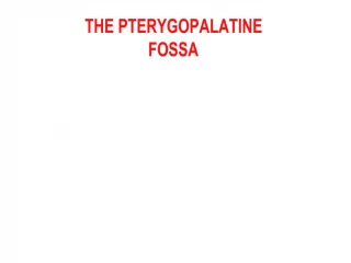 THE PTERYGOPALATINE FOSSA - slide 1