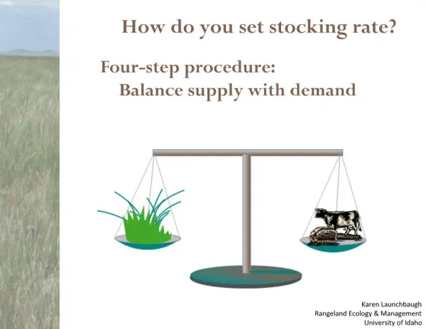 How do you set stocking rate