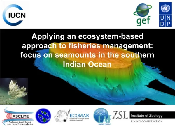 Applying an ecosystem-based approach to fisheries management: focus on seamounts in the southern Indian Ocean