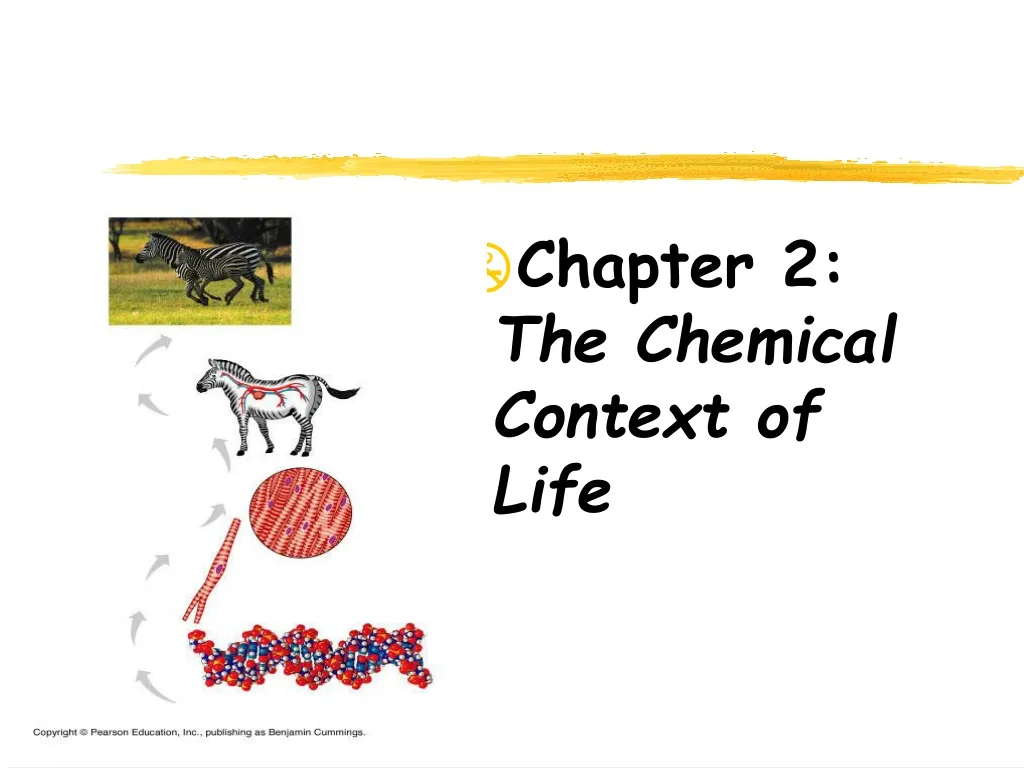 chapter 2 the chemical context of life