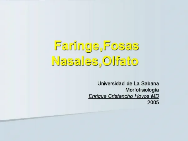 Faringe,Fosas Nasales,Olfato