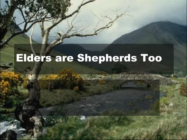 Elders are Shepherds Too