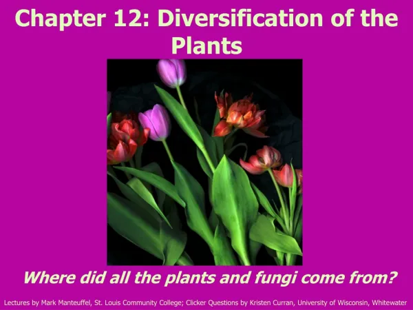 Chapter 12: Diversification of the Plants