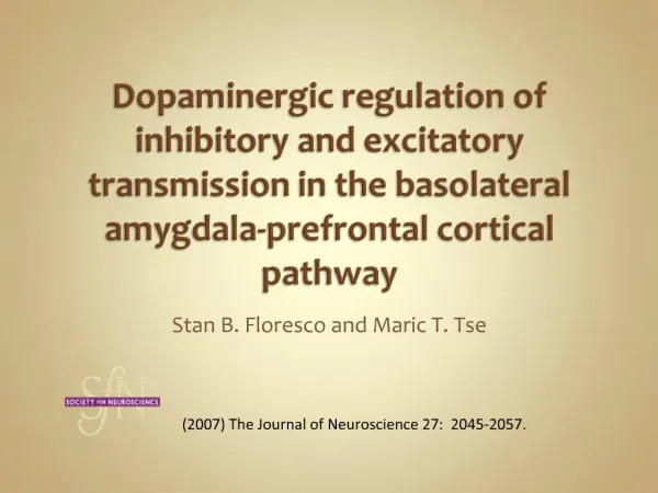 Dopaminergic regulation of inhibitory and excitatory transmission in the basolateral amygdala-prefrontal cortical pathwa