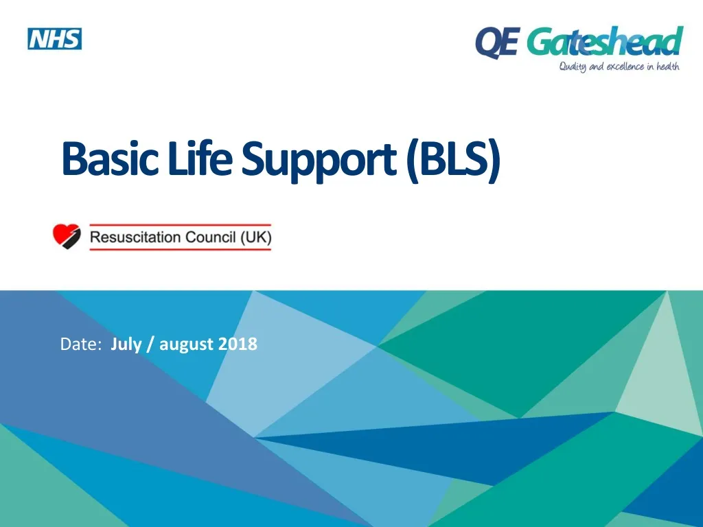 basic life support bls