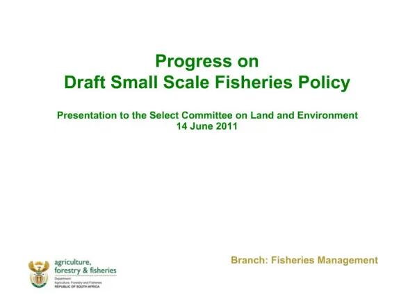 Progress on Draft Small Scale Fisheries Policy Presentation to the Select Committee on Land and Environment 14 June 20