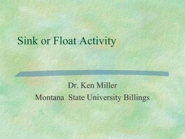 Sink or Float Activity