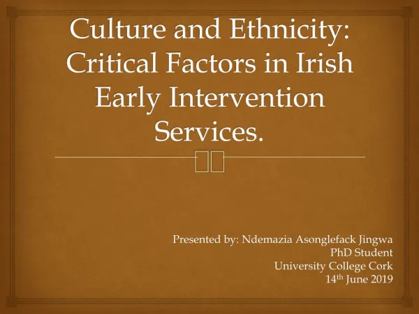 Culture and Ethnicity: Critical Factors in Irish Early Intervention Services.