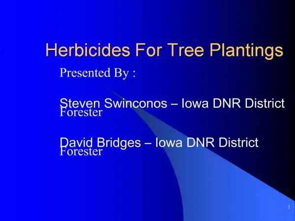 Herbicides For Tree Plantings