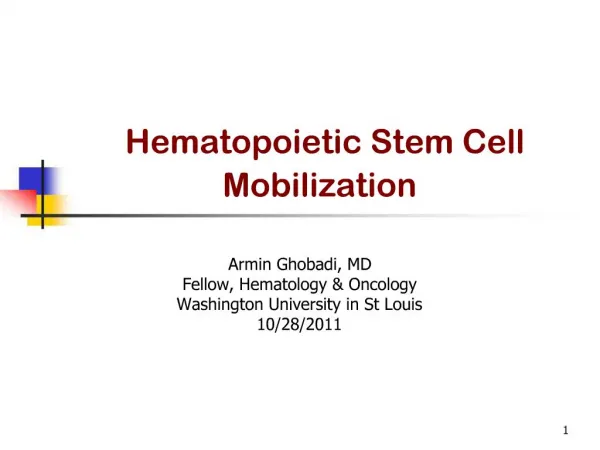 Hematopoietic Stem Cell Mobilization