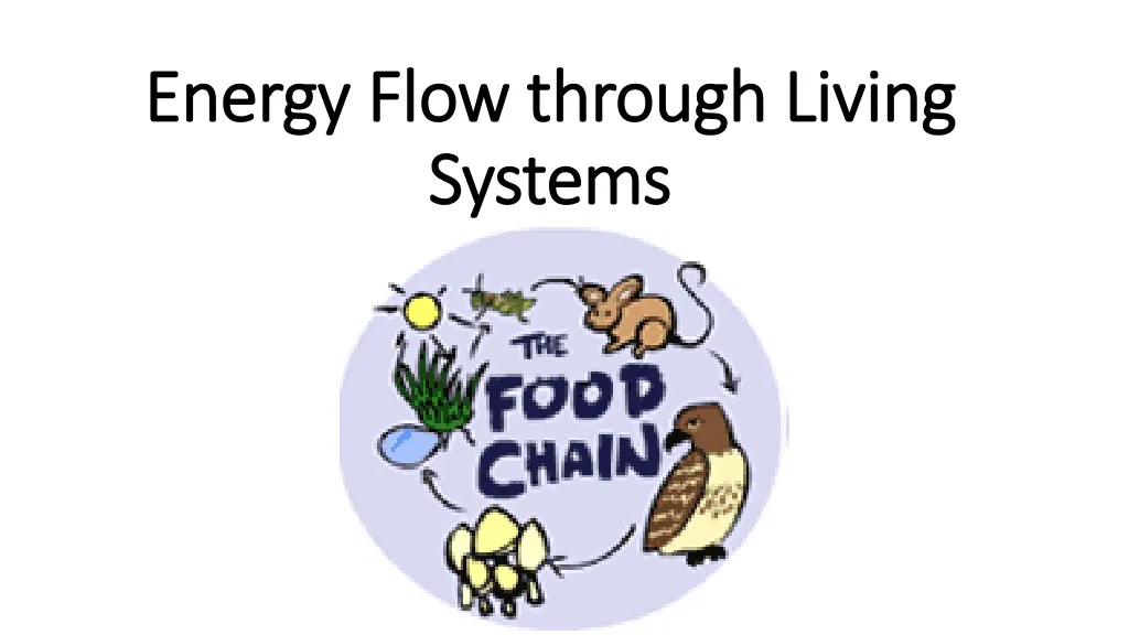 energy flow through living systems