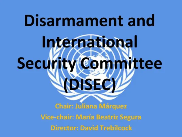 Disarmament and International Security Committee DISEC