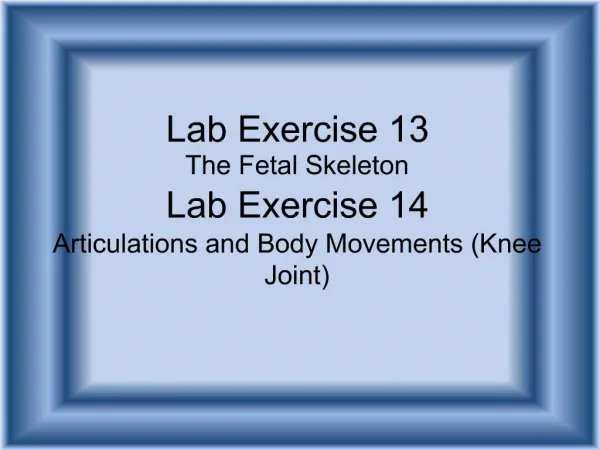 Lab Exercise 13 The Fetal Skeleton Lab Exercise 14 Articulations and Body Movements Knee Joint