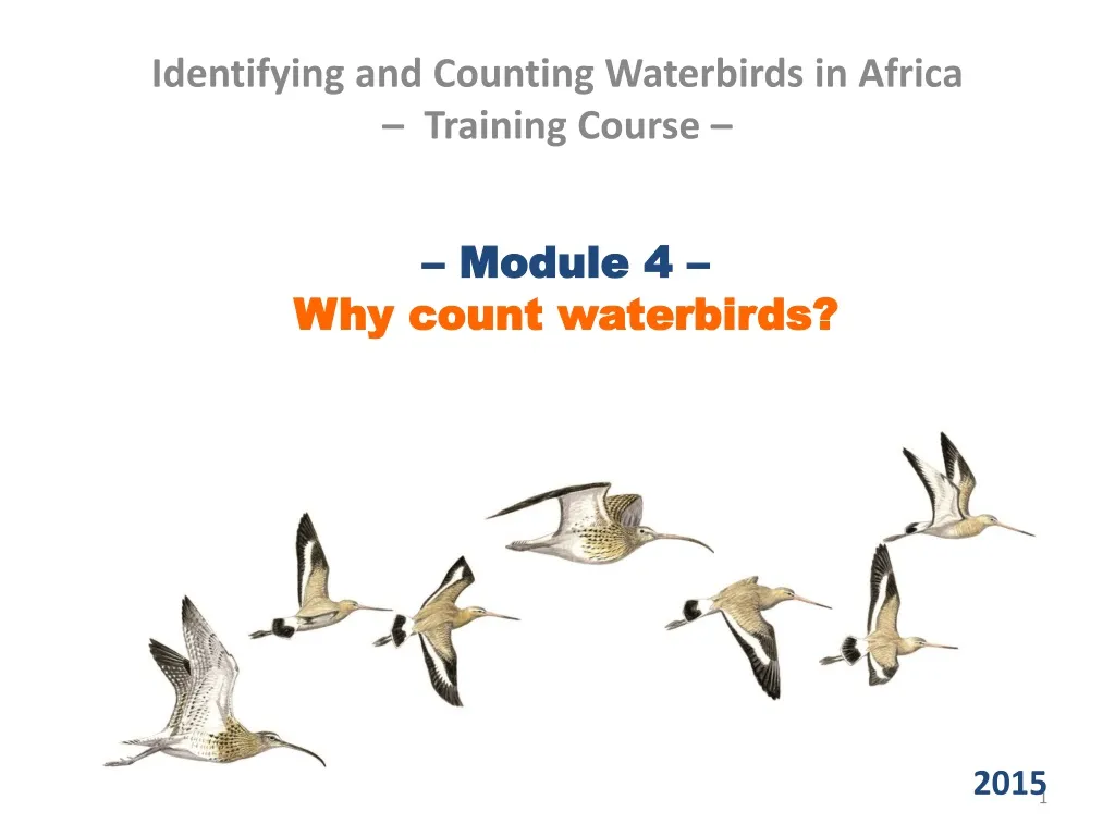 module 4 why count waterbirds