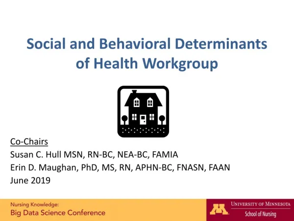 Social and Behavioral Determinants of Health Workgroup