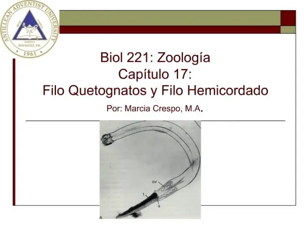 Biol 221: Zoolog a Cap tulo 17: Filo Quetognatos y Filo Hemicordado Por: Marcia Crespo, M.A.
