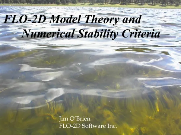 FLO-2D Model Theory and Numerical Stability Criteria