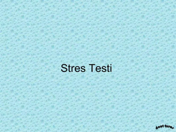 Stres Testi