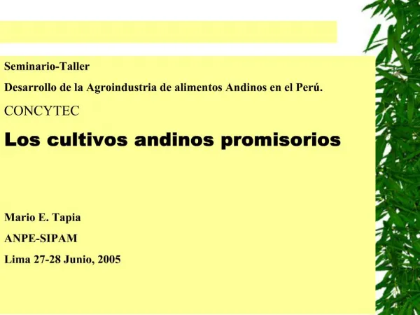 Seminario-Taller Desarrollo de la Agroindustria de alimentos Andinos en el Per . CONCYTEC Los cultivos andinos promisori