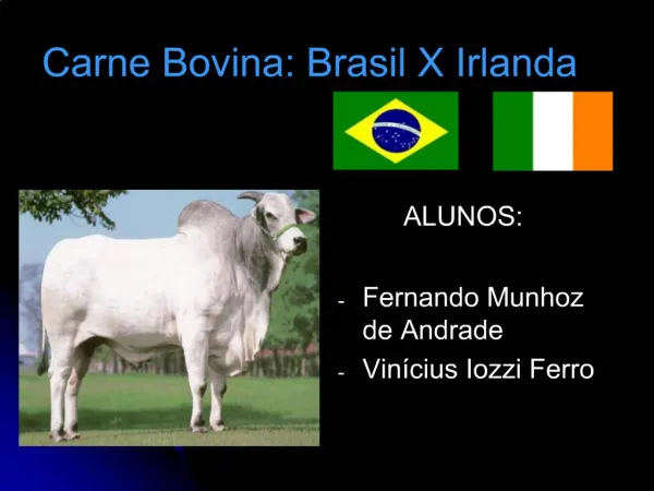 Carne Bovina: Brasil X Irlanda