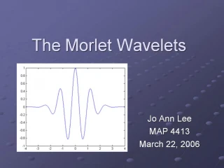 The Morlet Wavelets - slide 1