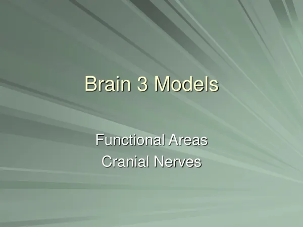 Brain 3 Models
