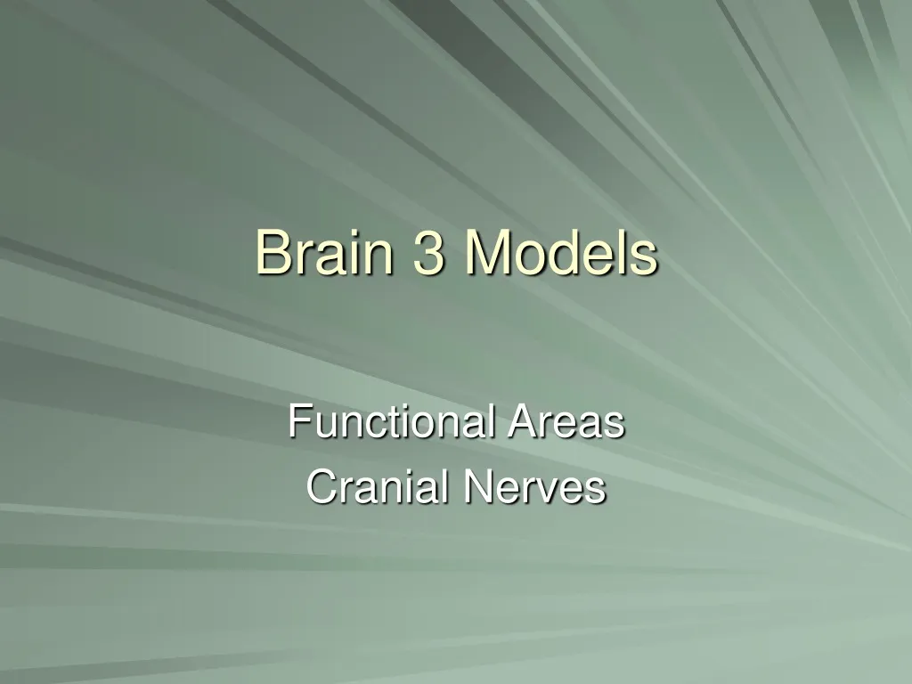brain 3 models